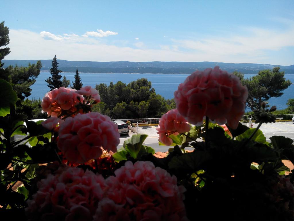 Villa Ljetni San Омиш Экстерьер фото